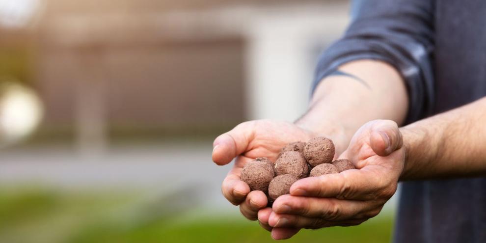 Samenbomben selber machen: Mann wirft Samenbomben