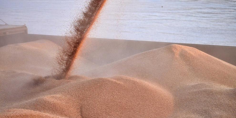 Getreide-AdobeStock_629708202