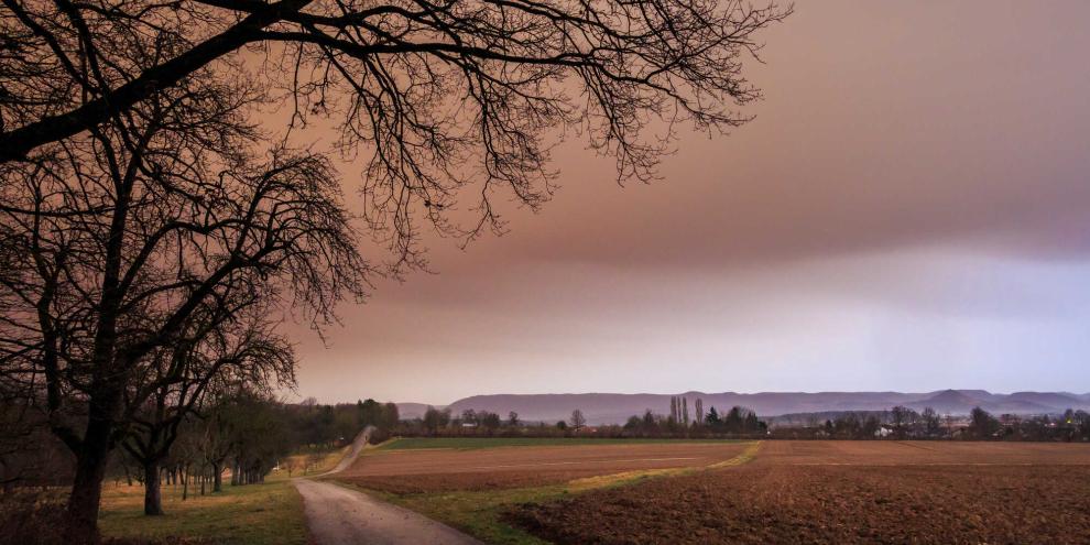 Saharastaub trübt den Vorfrühlingshimmel.
