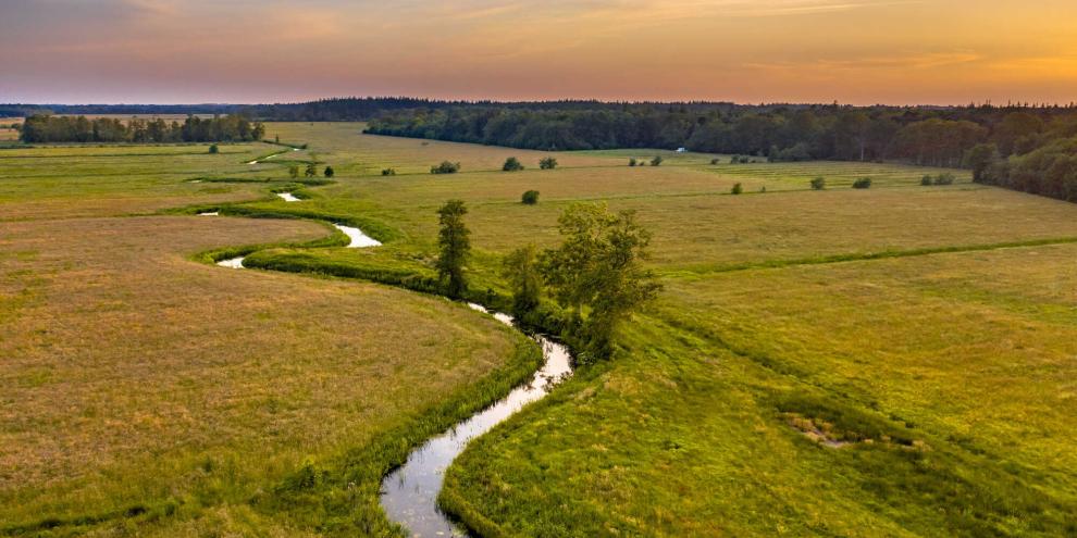 Wald-Wiesen-Bach-AdobeStock_636226502