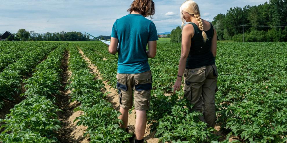 Landwirte stellen trotz steigender Nachfrage nach Bioprodukten nicht um.