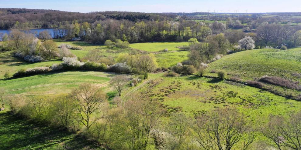 Für die Wiederherstellen von Hecken, Brachflächen oder Moore hat die EU viel zu wenig Geld.