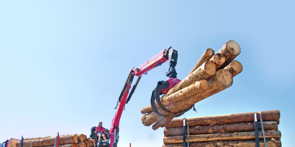 Selina Glantschig auf ihrem Scania S 560 mit Penz-Kran 15 Z