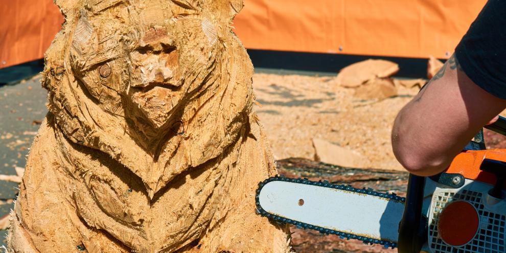 Bevorzugt verwendet die Künstlerin Fichtenstämme aus dem Bayrischen Wald. Daraus fertigt sie mit Kettensäge und Schnitzmesser Tierskulpturen aus Holz. (SYMBOLBILD)