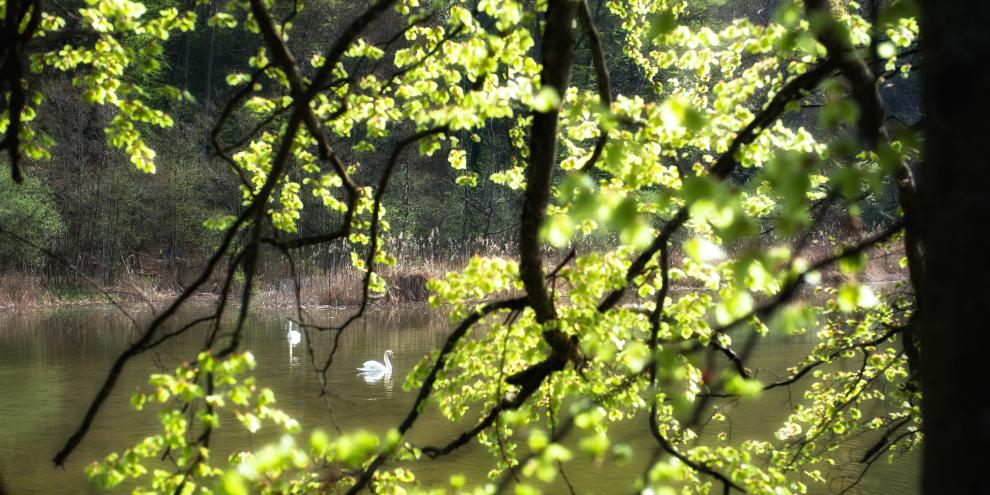 Wasserelemente steigern oft die Erholsamkeit von Orten.