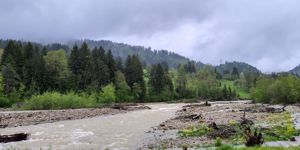 Regelmässige Überschwemmungen prägen Auen entscheidend mit. Hier die Sense (FR) mit Hochwasser.