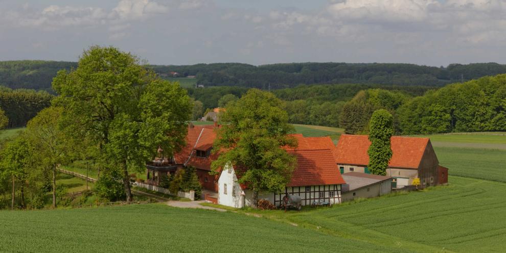 Eine Absicherung gegen Extremwetterereignisse könnte für niedersächsische Betriebe relevant werden.