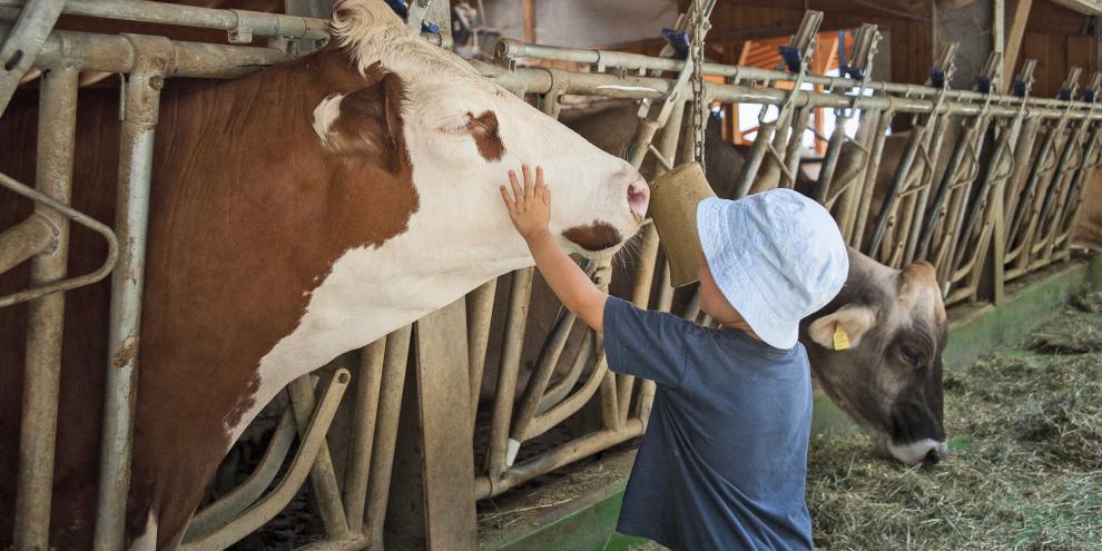 Kinder und Personen mit geschwächtem Immunsystem sind bei Zoonosen besonders empfindlich.