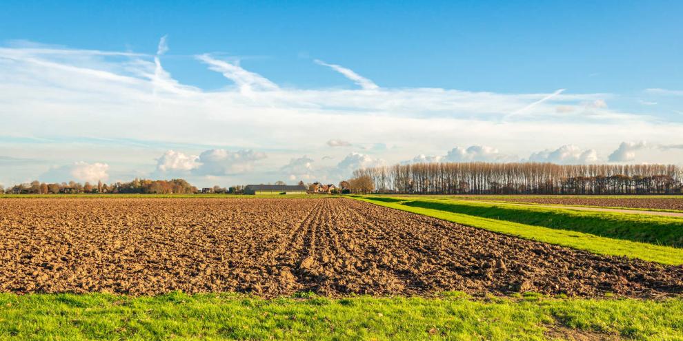 Acker-Felder-Hofstelle-AdobeStock_1786299238