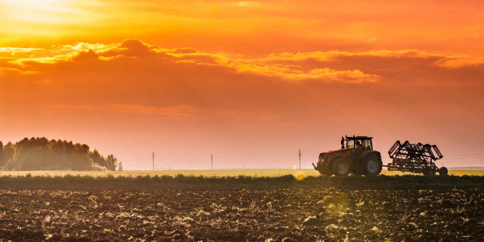 Sonne am 5. April soll eine gute Ernte verheißen.