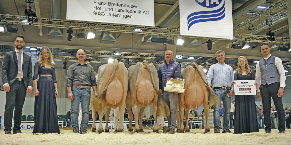 Die Champions von 2025: Grand Champion Cabalzar’s Swizzero Berna (M.) , Reservechampion Telli‘s Phil Daesy (l.) und Honorable Mention Phil Passa. Die IGBS-Schau 2026 findet am Freitag, 20. Februar statt.