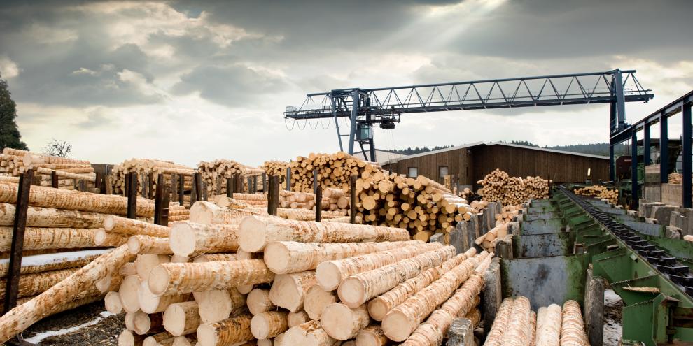Die Lager der österreichischen Sägeindustrie sind gut bevorratet.