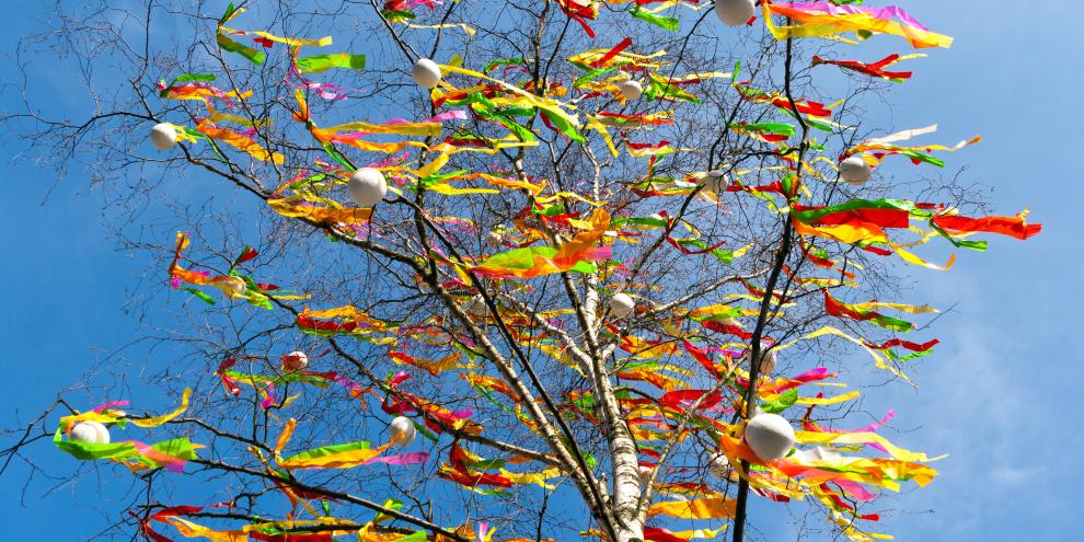 bunt geschmückten Birke