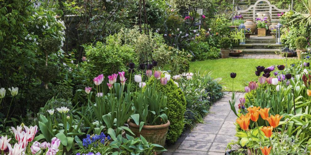 Schlanke Bäume, Sträucher und Formschnittgehölze rahmen vor den Holzwänden den schmalen Garten ein.