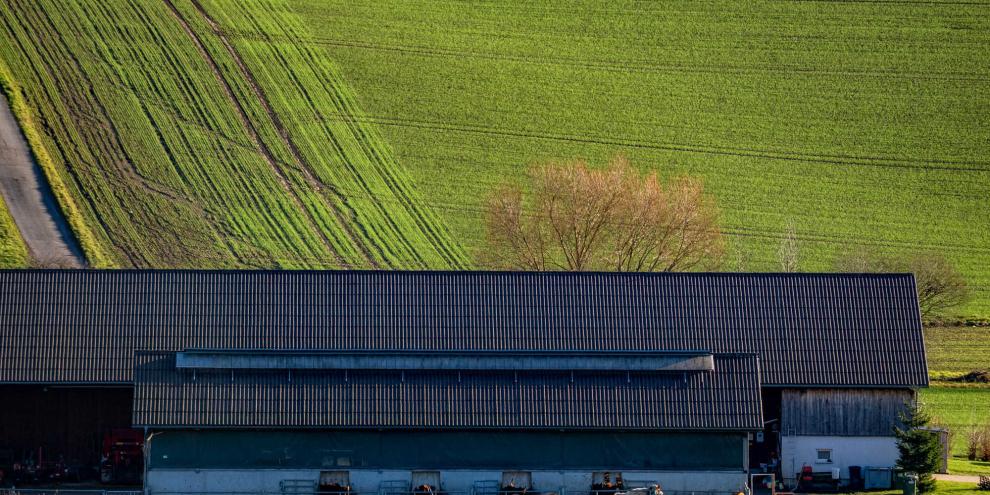 Bauernhof-AdobeStock_1840758613