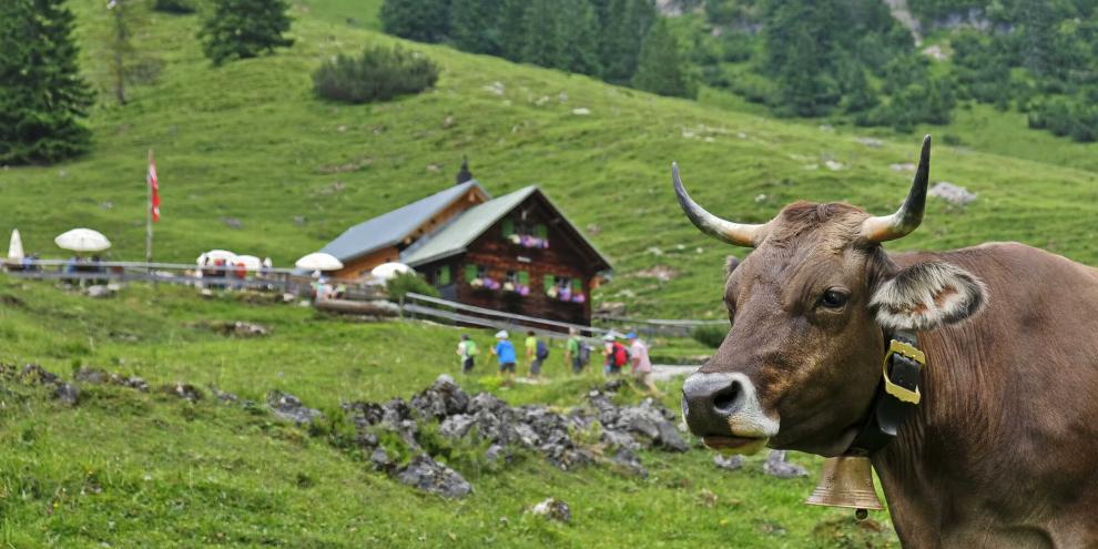 Für ein respektvolles Miteinander auf dem Berg.