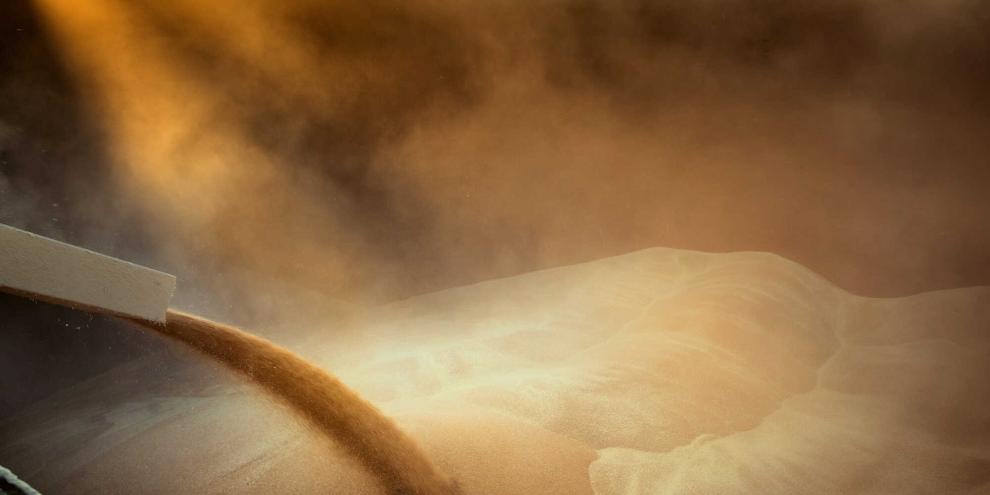 Schiff-Getreide-Verladen-AdobeStock_162217112