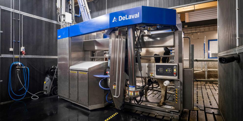 Ein Melkroboter von DeLaval im Einsatz auf einem Milchviehbetrieb.