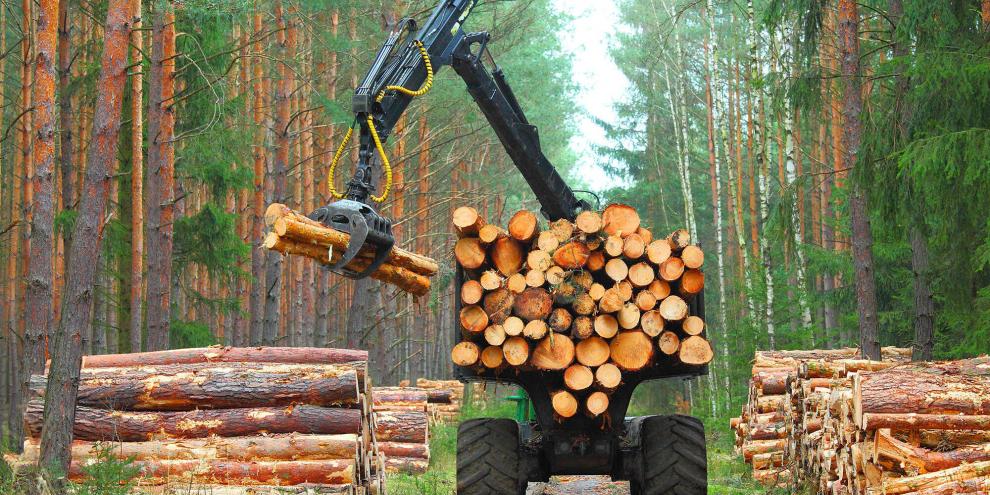 Waldarbeiten-AdobeStock_143157324