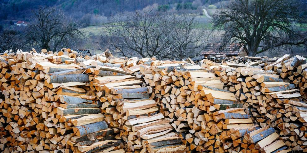 Brennholz-Aussenbereich-Wald-AdobeStock_254437832