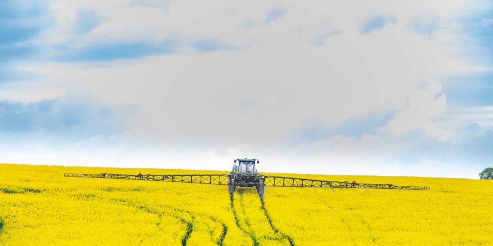 Dünger-Raps-AdobeStock_336611319