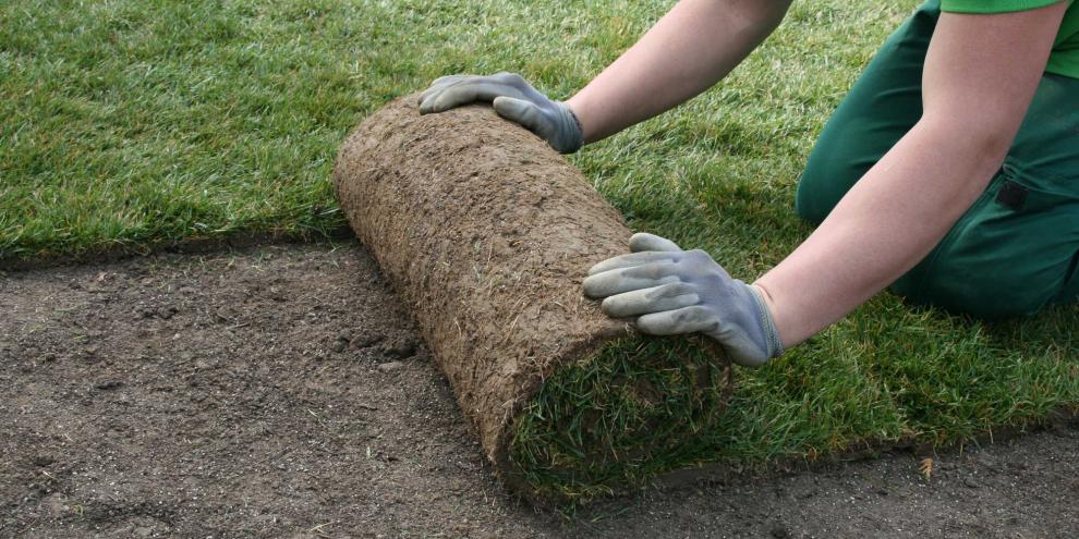 Rollrasen-AdobeStock_42715181