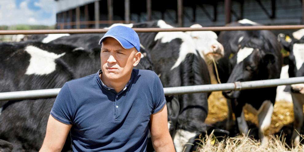Die Stimmung der Landwirte ist deutlich gefallen, zeigt das Agrarbarometer. (Symbolfoto)