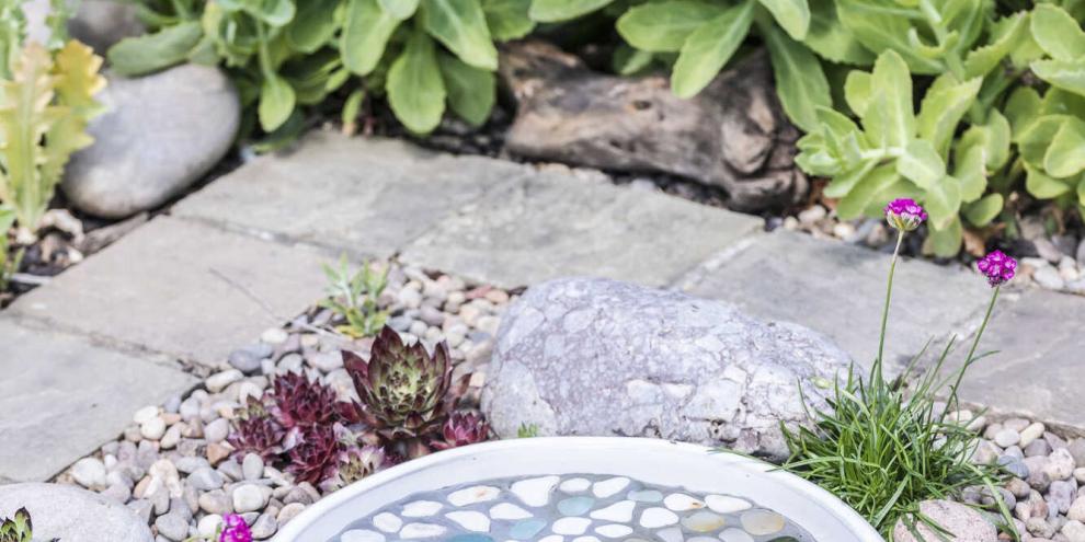 Hingucker im Steinbeet: Hier baden und trinken nicht nur Vögel.