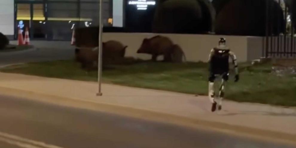 Bei Instagram ist zu sehen, wie der Roboter Wildschweine durch Warschau jagt.