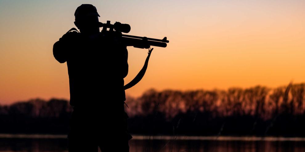 Die Dunkelziffer der Fälle an Jagdwilderei ist hoch.