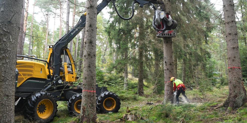Bei der MFK-Methode wird der Baum motormanuell gefällt und durch den Harvester gesichert und dann umgedrückt.