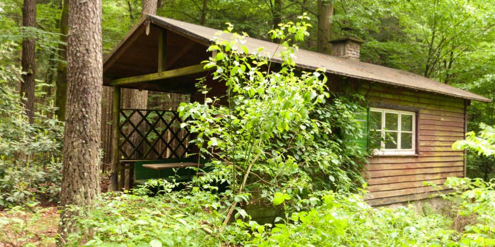 Jagdhütte-AdobeStock_66109033