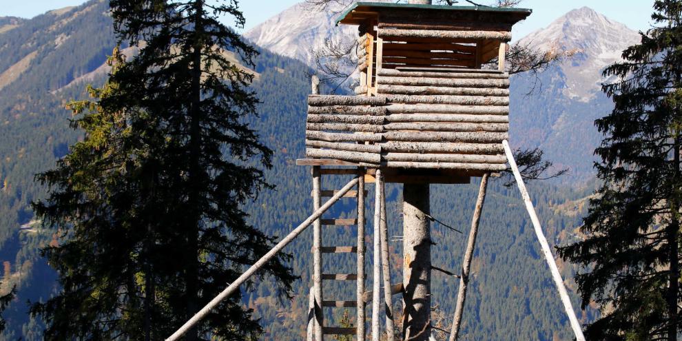 In Österreich kam es zu einem schweren Unfall während einer Jagd.