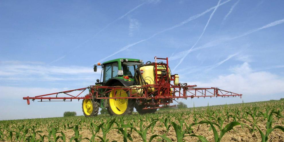 Herbizideinsatz in Mais