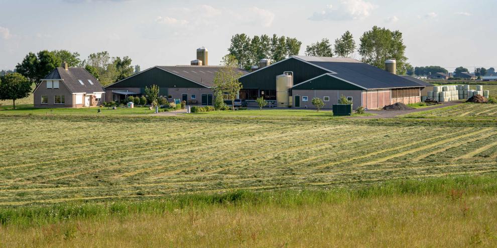 Bauernhof-Wiese-Stall-AdobeStock_286698676
