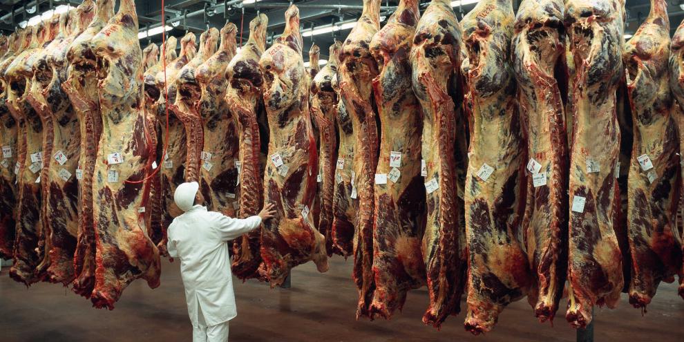 Vion-Schlachthof-AdobeStock_20431065