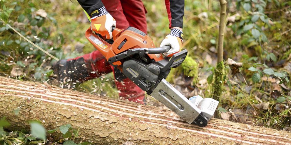 „Rindenschlitzen“ mit der Motorsäge: Mit dem speziellen Aufsatz mit Streifenmessern wird die Rinde in feine Streifen geschnitten.