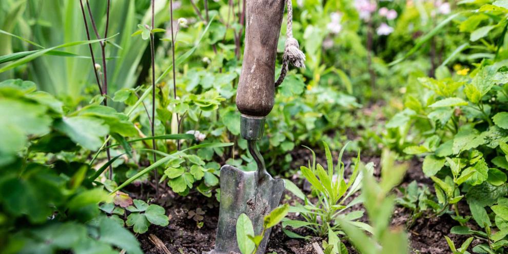 In artenreichen Wildpflanzenbeeten bleibt die Schaufel einfach mal entspannt stecken.