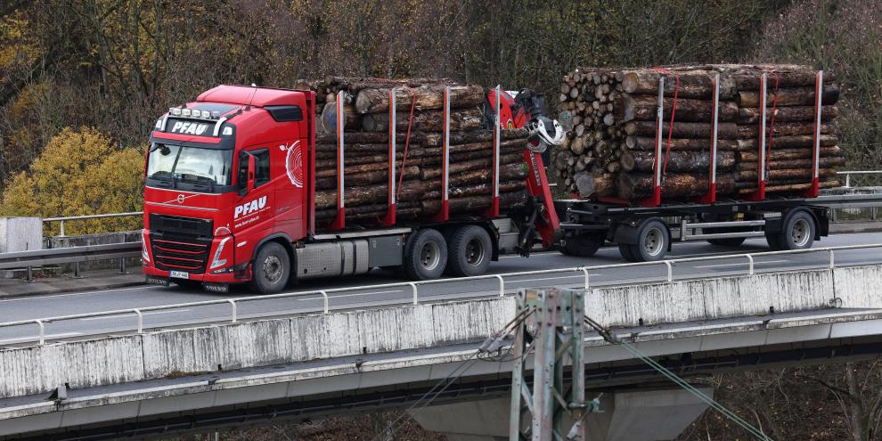 Holztransport-Lkw der Firma Pfau im November 2025 bei Siegen