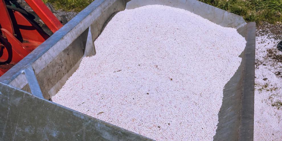 Dünger-ausbringen-Frühjahr-AdobeStock_504807296