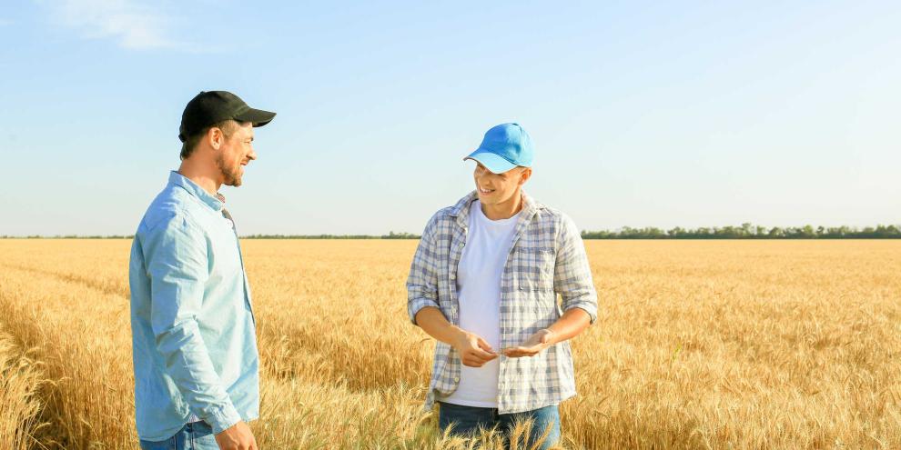 Landwirte-Feld-AdobeStock_291245577