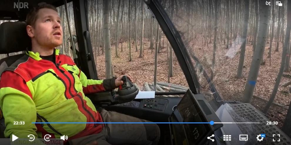 Harvester fahren und Interviews geben: Phillip Nowak bei der Holzernte