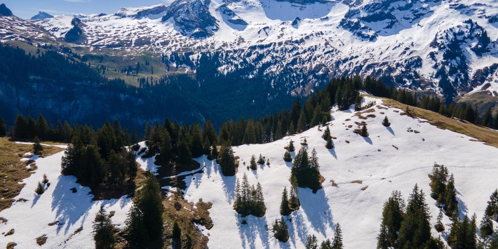 Je nach Lage am Hang haben Wälder unterschiedliche Auswirkungen auf die Schneeschmelze.
