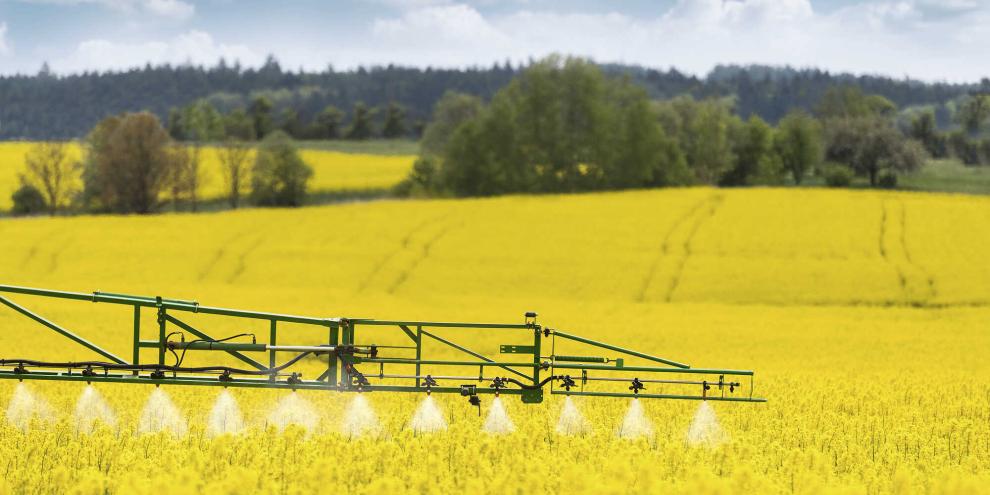 Blütenbehandlungen im Raps sind nur mit B4-Mitteln erlaubt. Dennoch zeigen Untersuchungen, dass selbst solche Anwendungen das Verhalten von Bienen beeinflussen können.