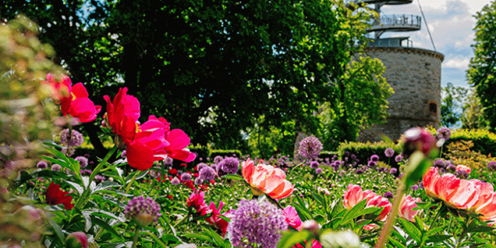 Wo Verantwortung Wurzeln schlägt
