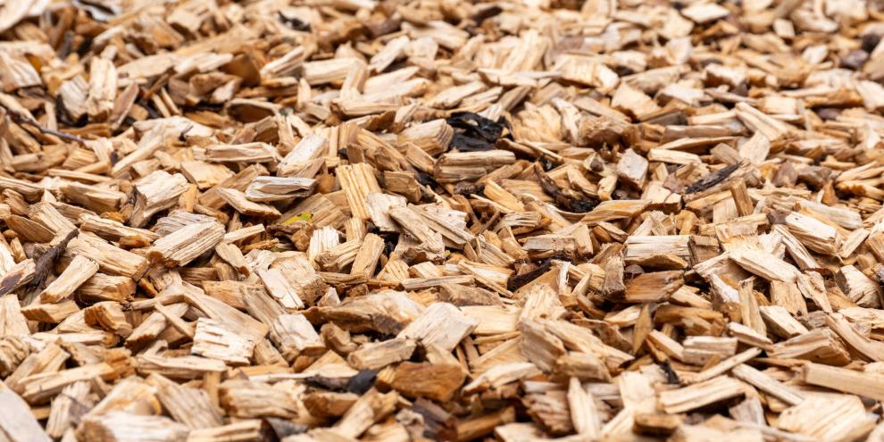 Bei verschiedenen Baumarten für Hackschnitzel gibt es bei der Energieausbeute deutliche Unterschiede.