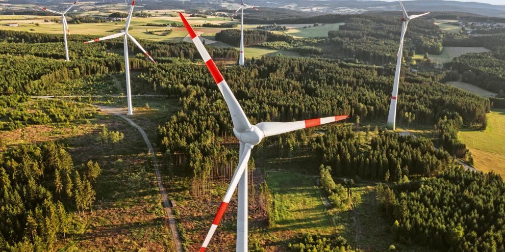 Windenergie im Wald
