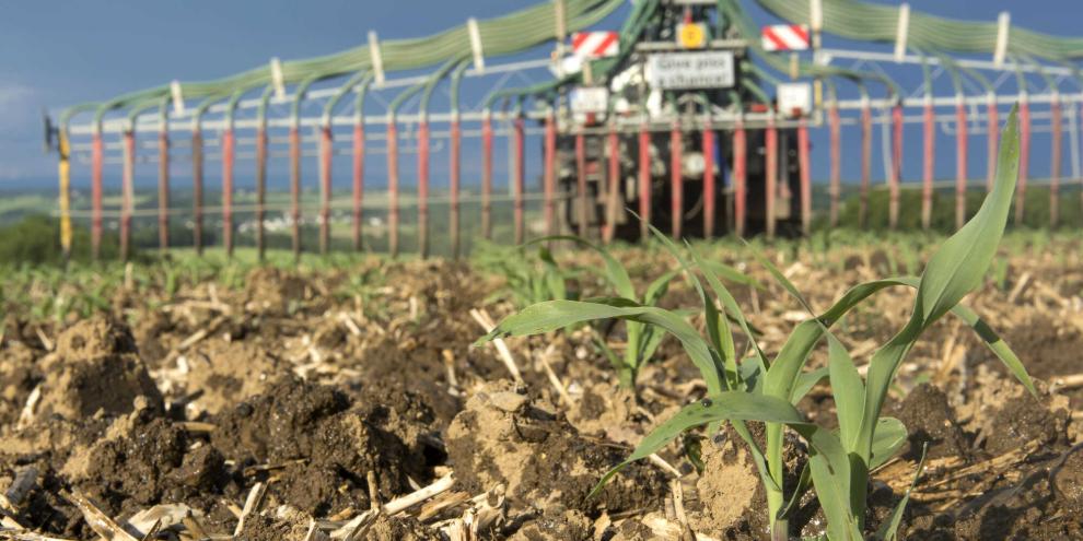 Wenn Landwirte Wer besonders wasserschonend wirtschaften, sollen sie von unnötiger Schreibtischarbeit befreit werden.