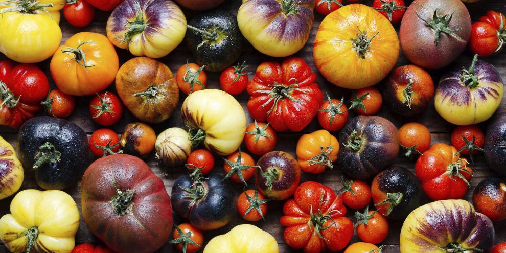 Tomate