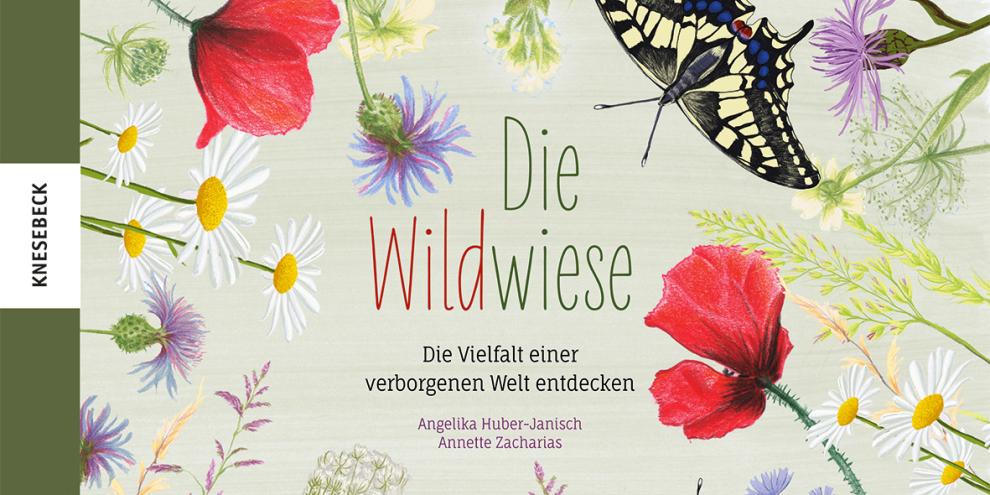 Die Wildwiese – Die Vielfalt einer verborgenen Welt entdecken, 64 Seiten mit 38 farbigen Abbildungen, Angelika Huber-Janisch & Annette Zacharias, Knesebeck-Verlag, ISBN 978-3-95728-531-7, 20 Euro